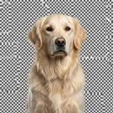 Winston looking serious
