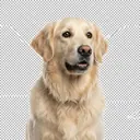Winston looking worried